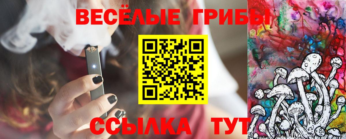 Псилоцибиновые грибы MAGIC MUSHROOMS Всеволожск
